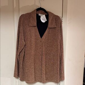 Skies Are Blue Textured Brown Blouse